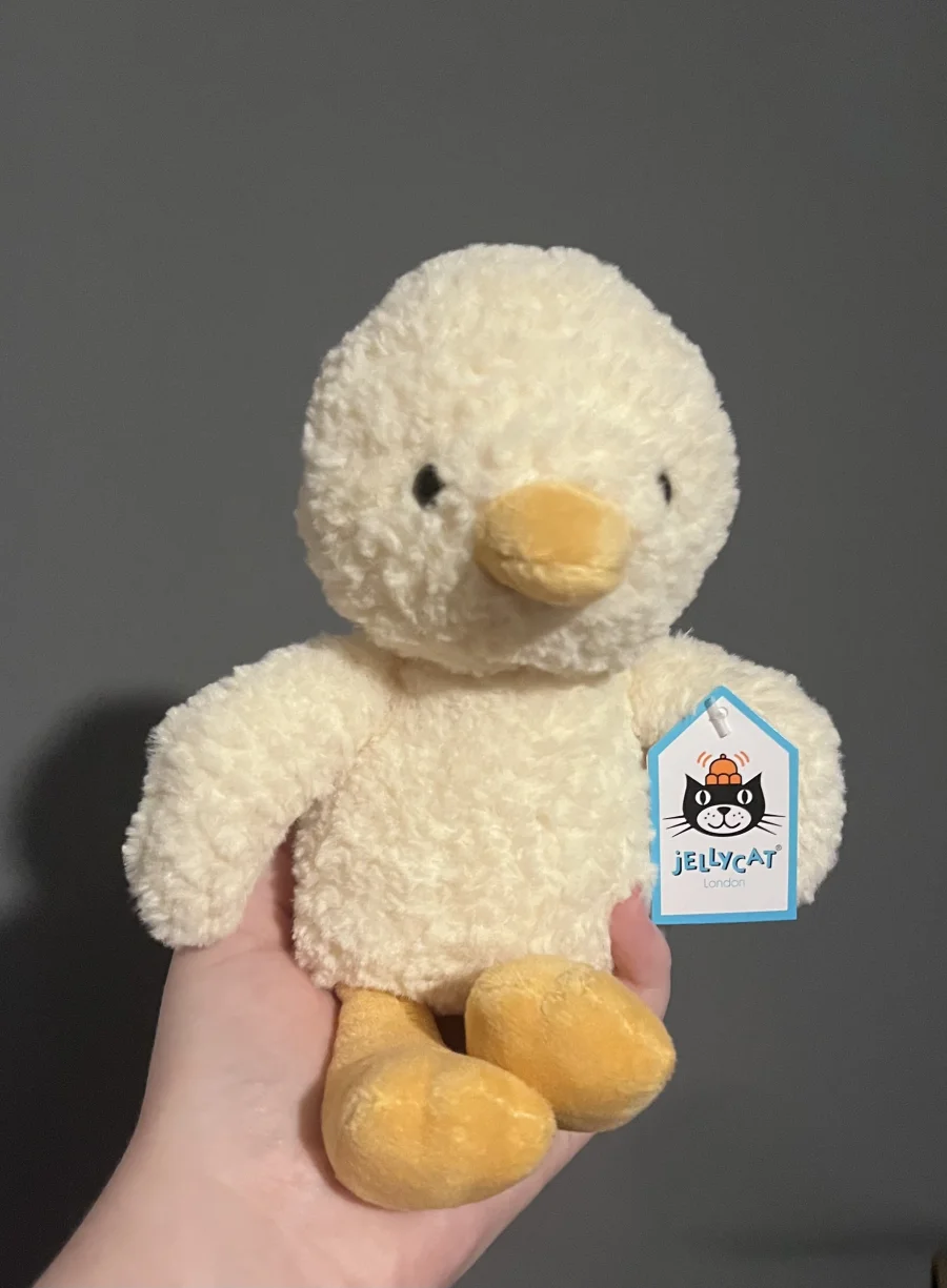 Front - Tumbletuft Duck photo by Crystal0022