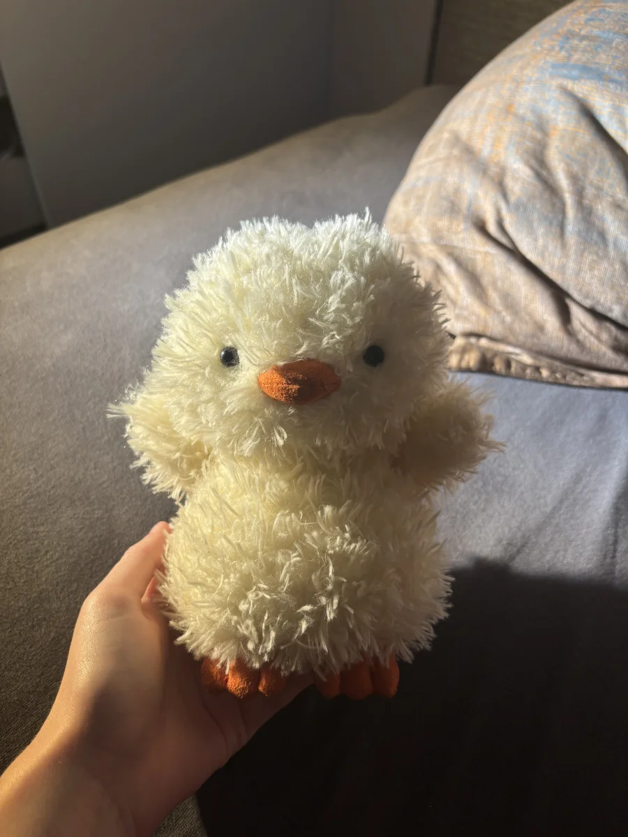 Front - Little Chick photo by monki123
