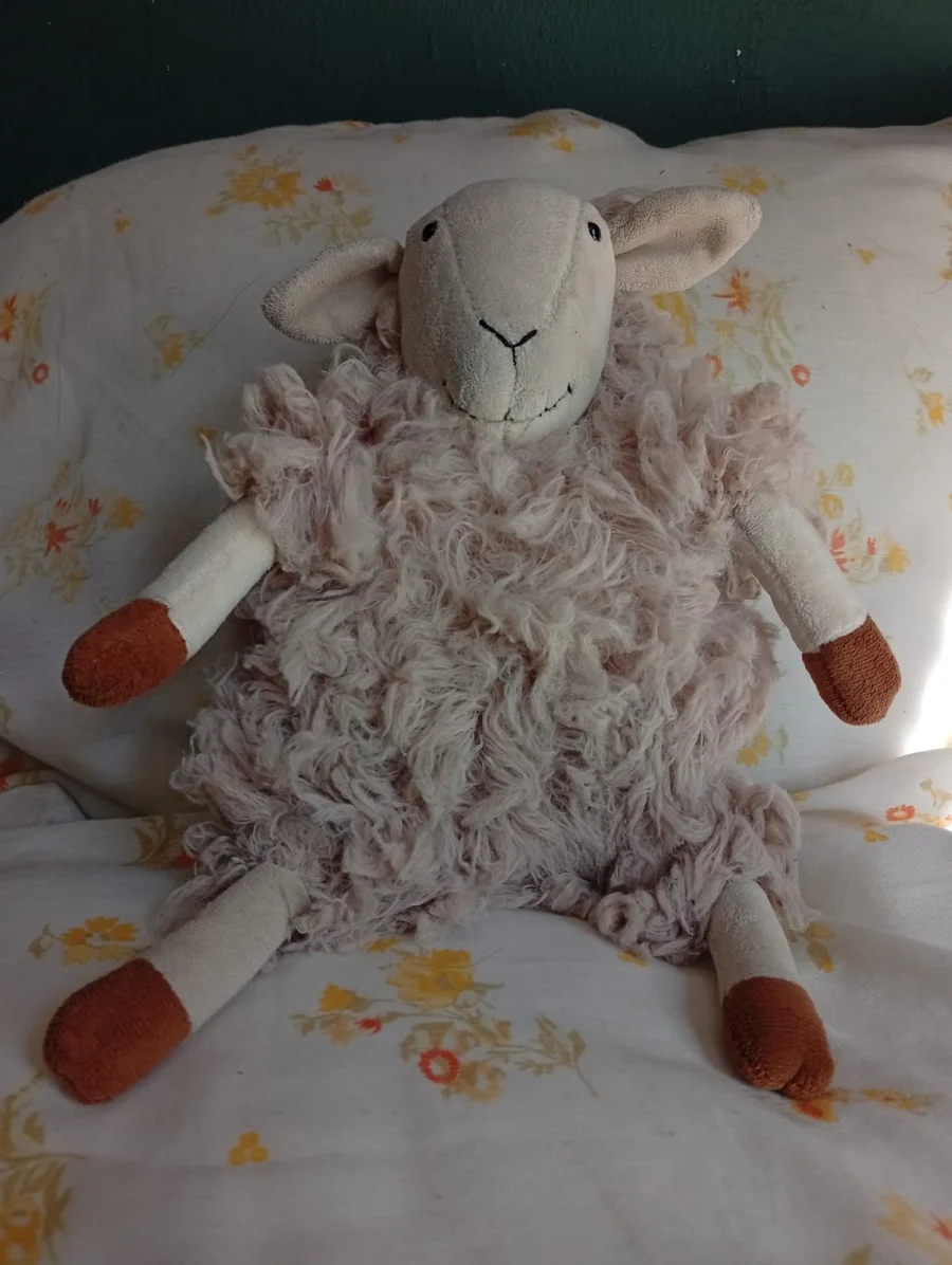 Front - Sherri Sheep photo by teddybutch