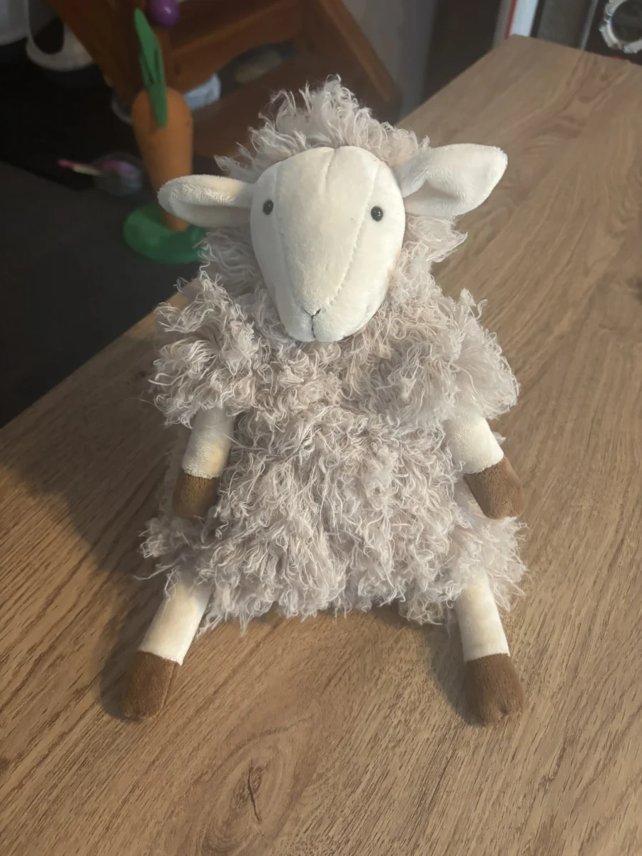 Front - Sherri Sheep photo by CharlieP