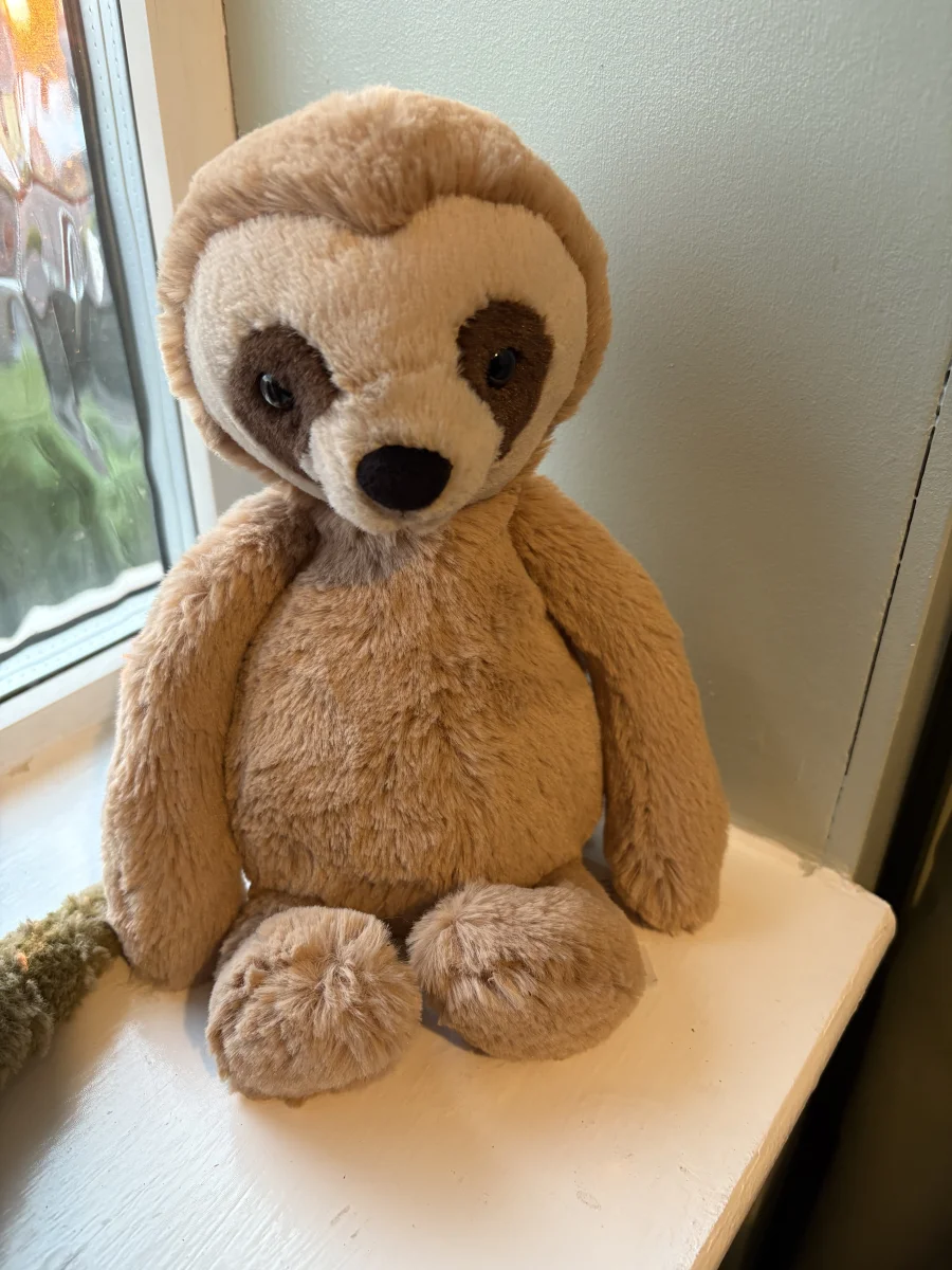 Front - Bashful Sloth photo by Natashajade