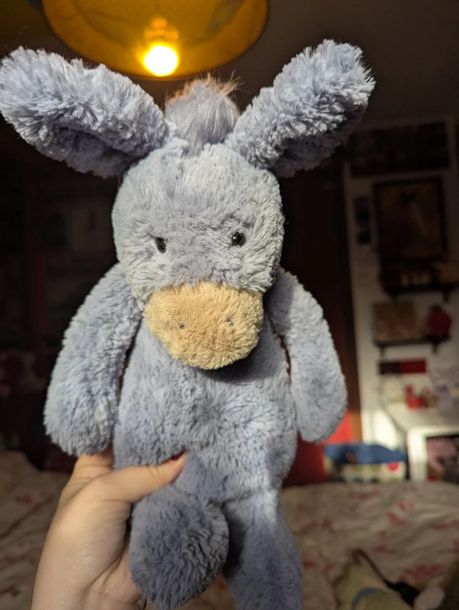 Front - Bashful Donkey photo by Coco_5