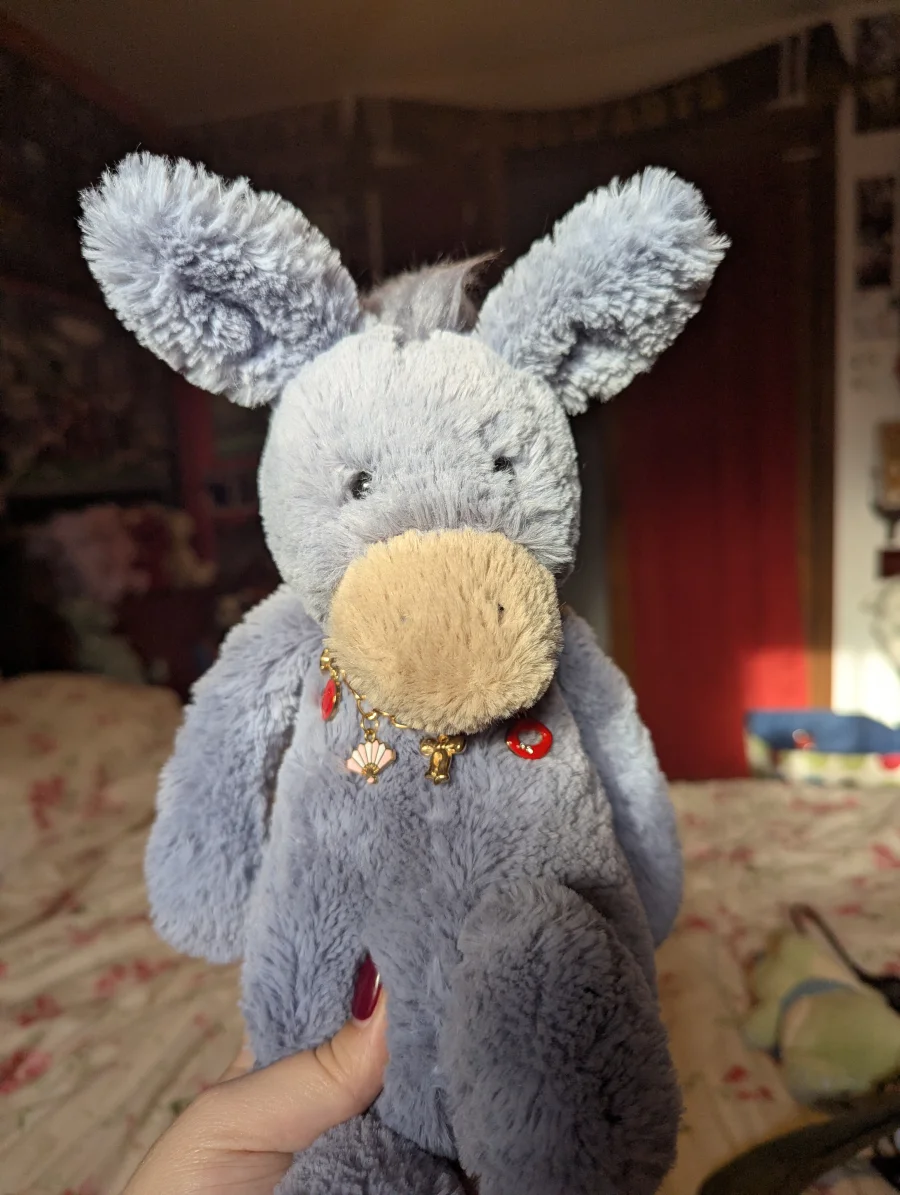 Front - Bashful Donkey photo by Coco_5