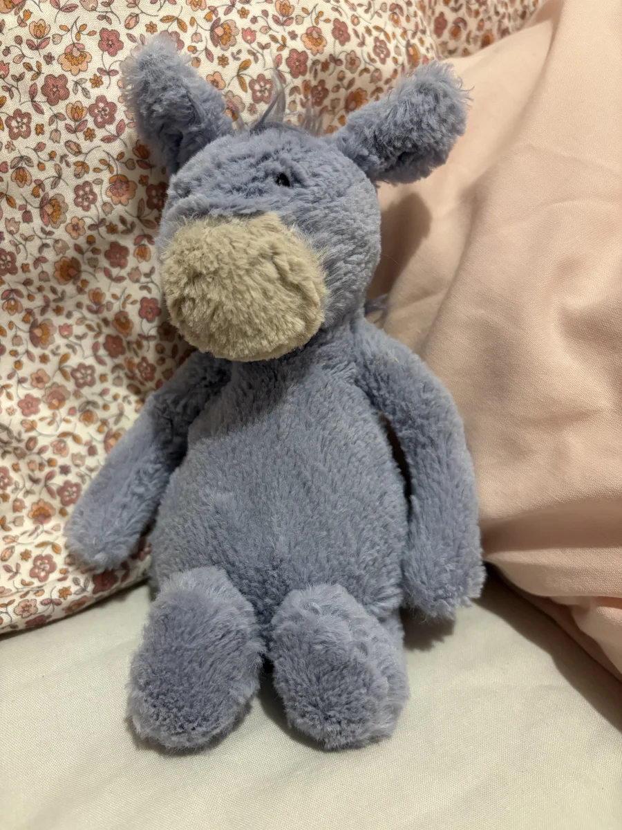 Front - Bashful Donkey photo by Natashajade