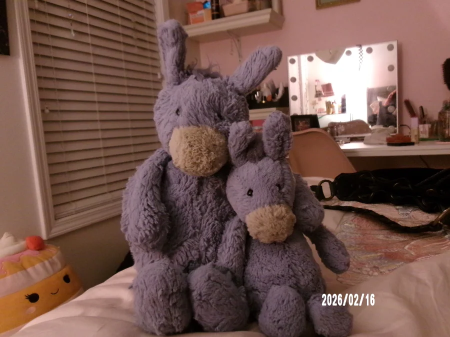 Front - Bashful Donkey photo by Maddys_Jellies