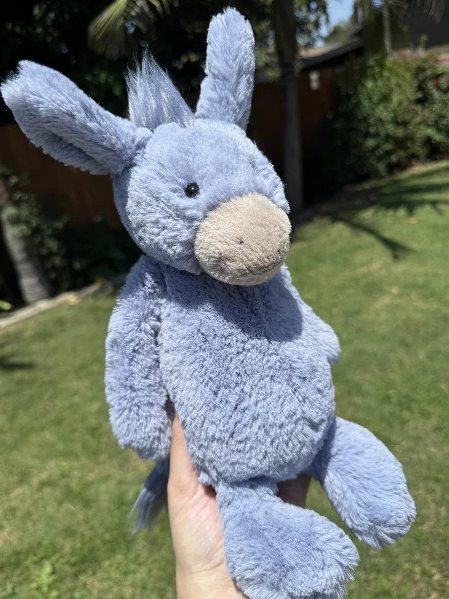 Front - Bashful Donkey photo by JennieeC26