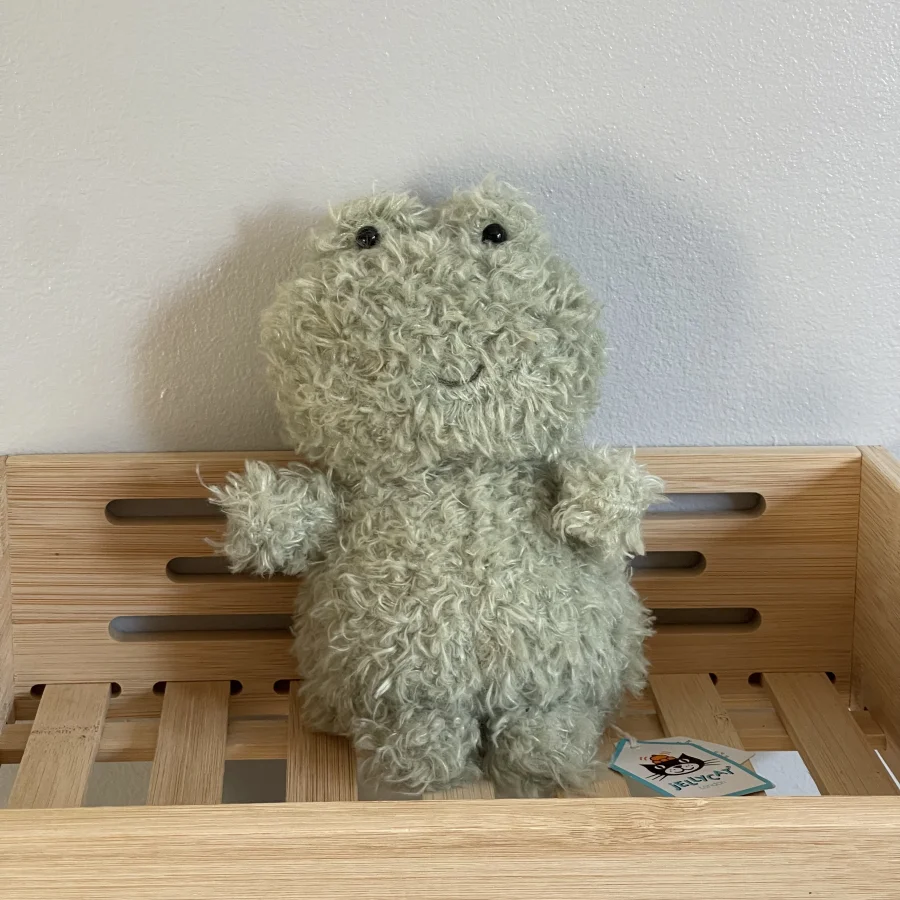 Front - Little Frog photo by charlotteriddettepage