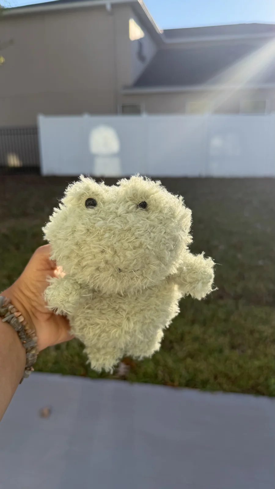 Front - Little Frog photo by bronzieandthejellies