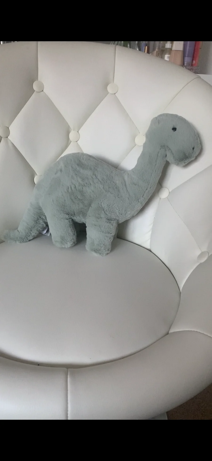 Side - Fossilly Brontosaurus - Medium photo by its.amb3rrx