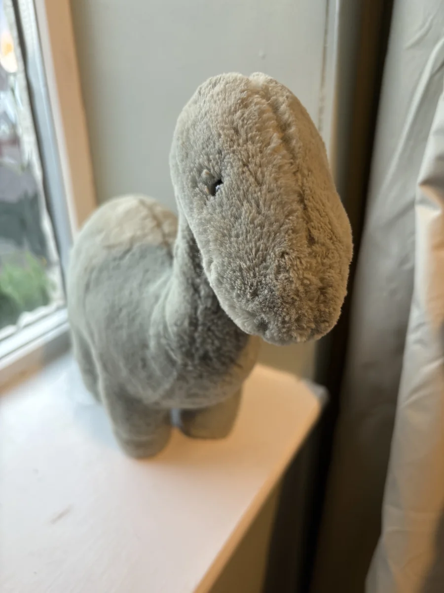 Front - Fossilly Brontosaurus - Medium photo by Natashajade