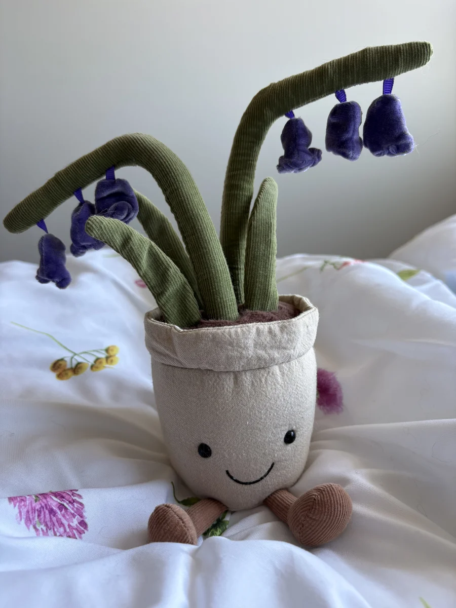 Front - Amuseables Bluebell photo by mayciefaye