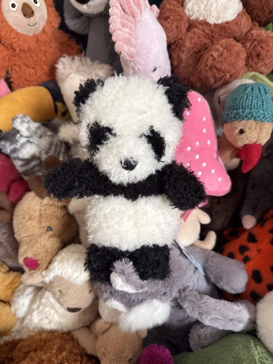 Front - Little Panda photo by Trace