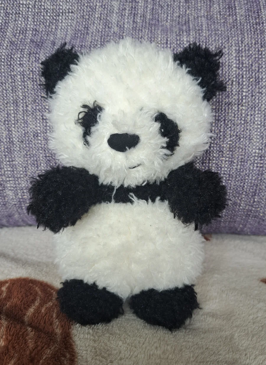 Front - Little Panda photo by Pandabs
