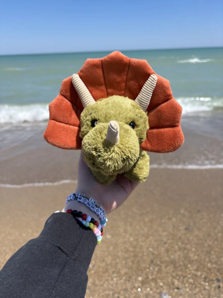 Front - Archie Dinosaur photo by olliejellies