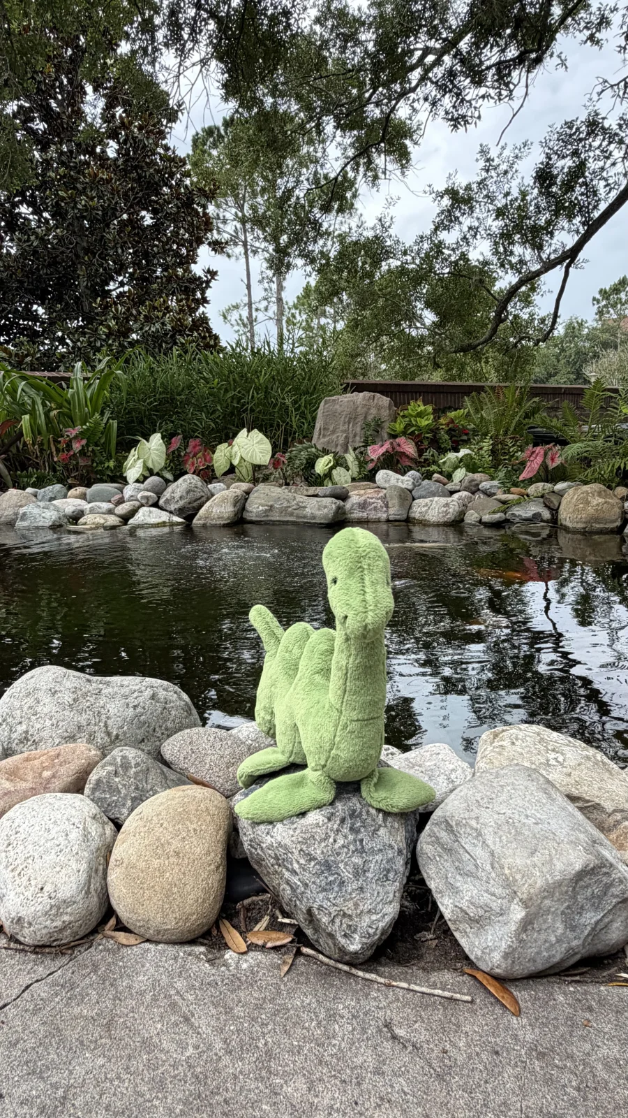 Front - Nessie Nessa photo by bronzieandthejellies