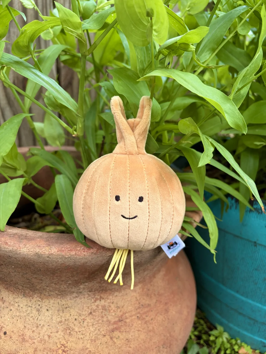 Front - Vivacious Vegetable Onion photo by AmberrGolden