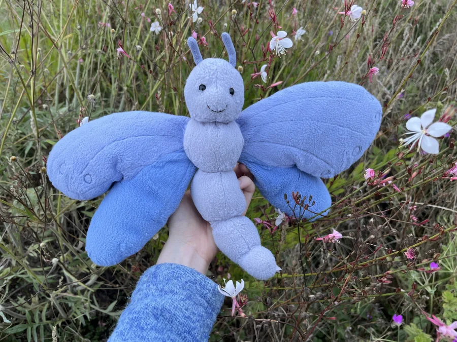 Front - Bluebell Butterfly photo by Amused