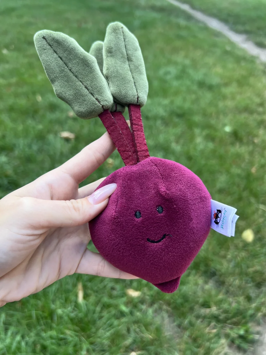 Front - Vivacious Vegetable Beetroot photo by Deka