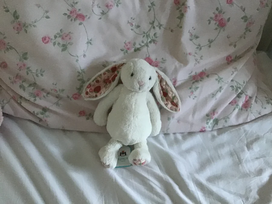 Front - Blossom Cream Bunny 'Berry' - Small photo by Molly_daisy02