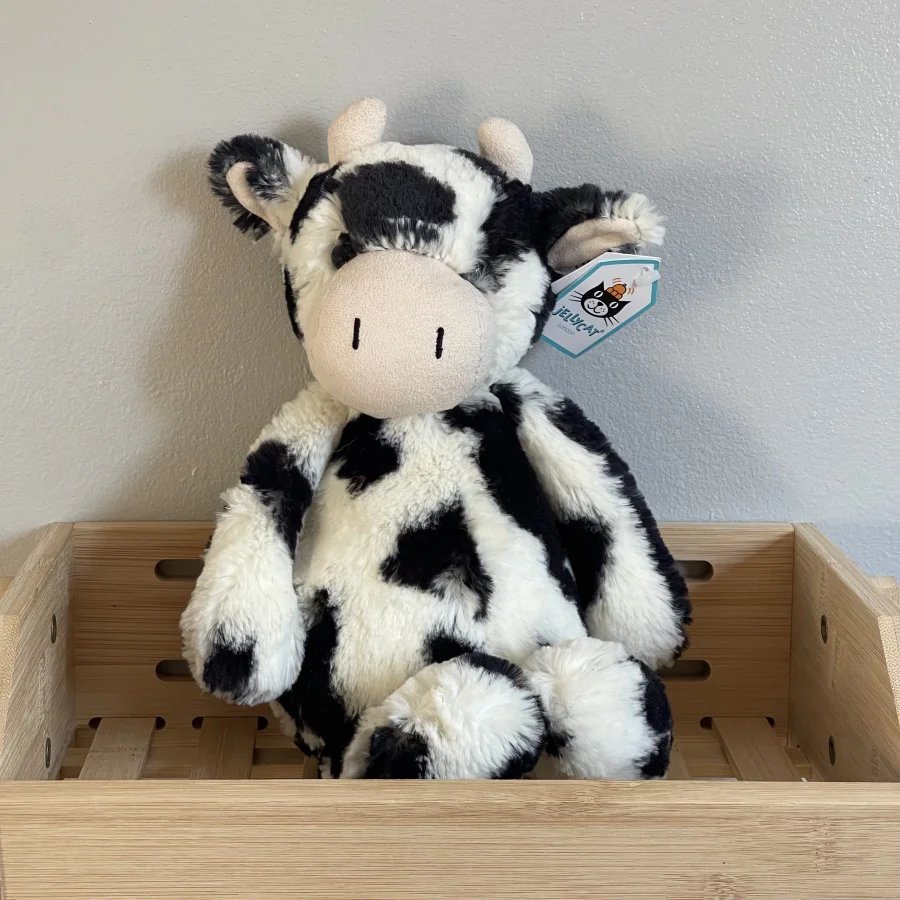 Front - Bashful Calf - Medium photo by charlotteriddettepage