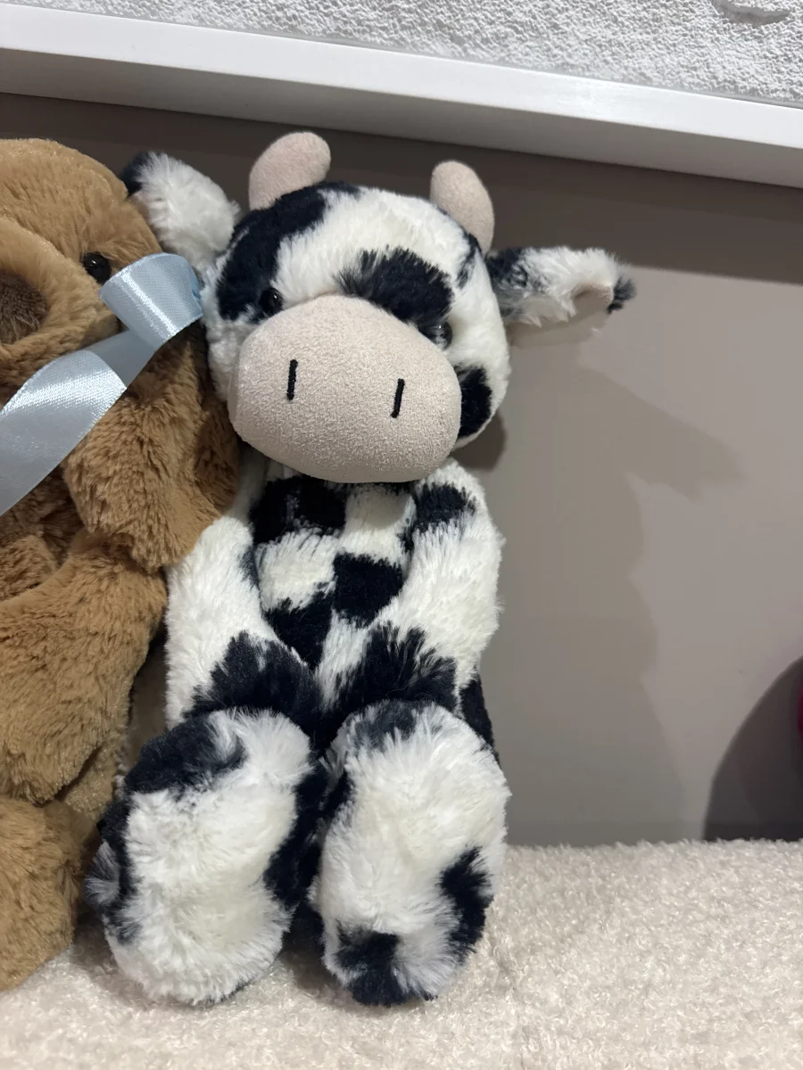Front - Bashful Calf - Medium photo by Courtneyharris