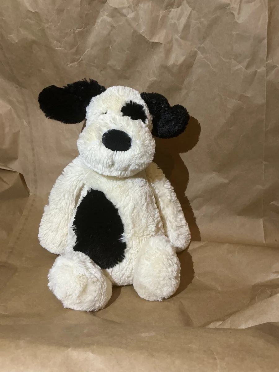 Front - Bashful Black & Cream Puppy - Medium photo by Mary2_2