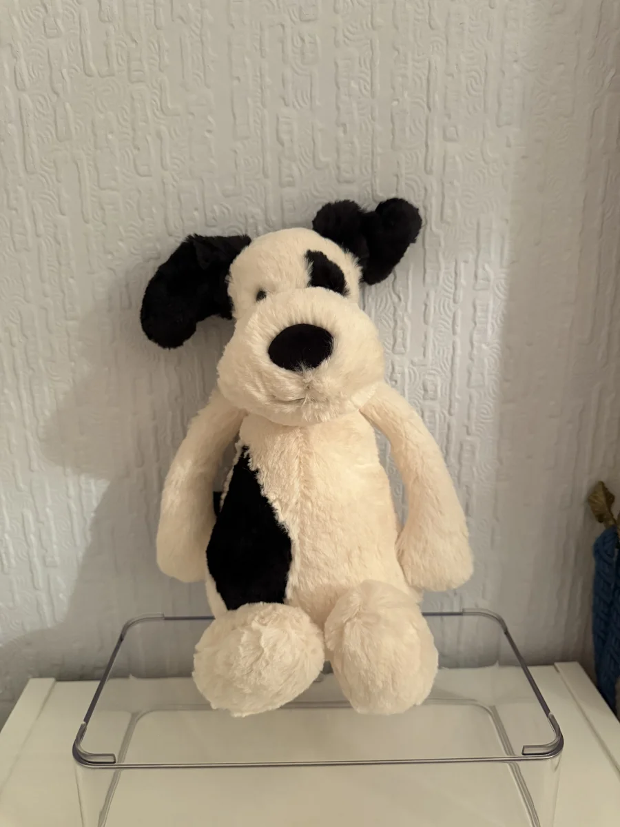 Front - Bashful Black & Cream Puppy - Medium photo by Bethanyxox