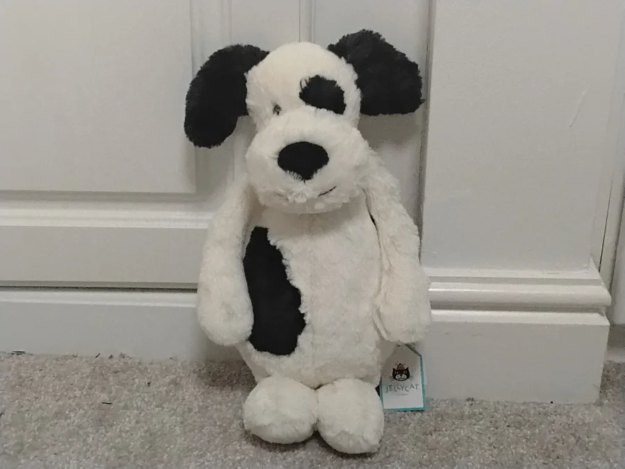 Front - Bashful Black & Cream Puppy - Medium photo by Isla_Rose_JC