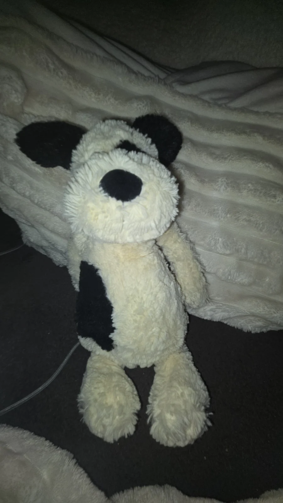 Front - Bashful Black & Cream Puppy - Medium photo by Jellylover24