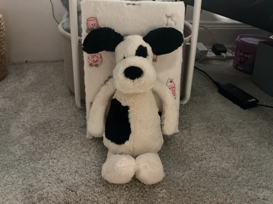 Front - Bashful Black & Cream Puppy - Medium photo by Jessica__