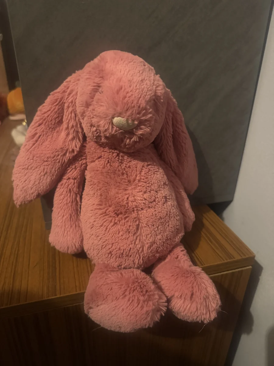 Front - Bashful Cerise Bunny - Medium photo by Stilley
