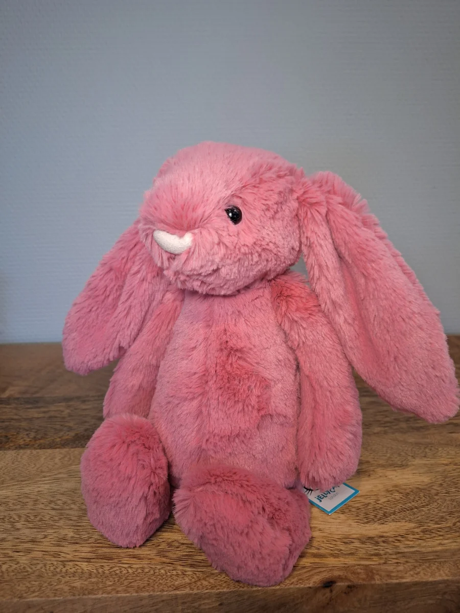 Bashful Cerise Bunny - Medium Jellycat Photo by Sofie | Jelly Journal