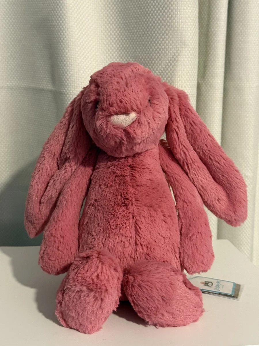 Front - Bashful Cerise Bunny - Medium photo by Bunnylove