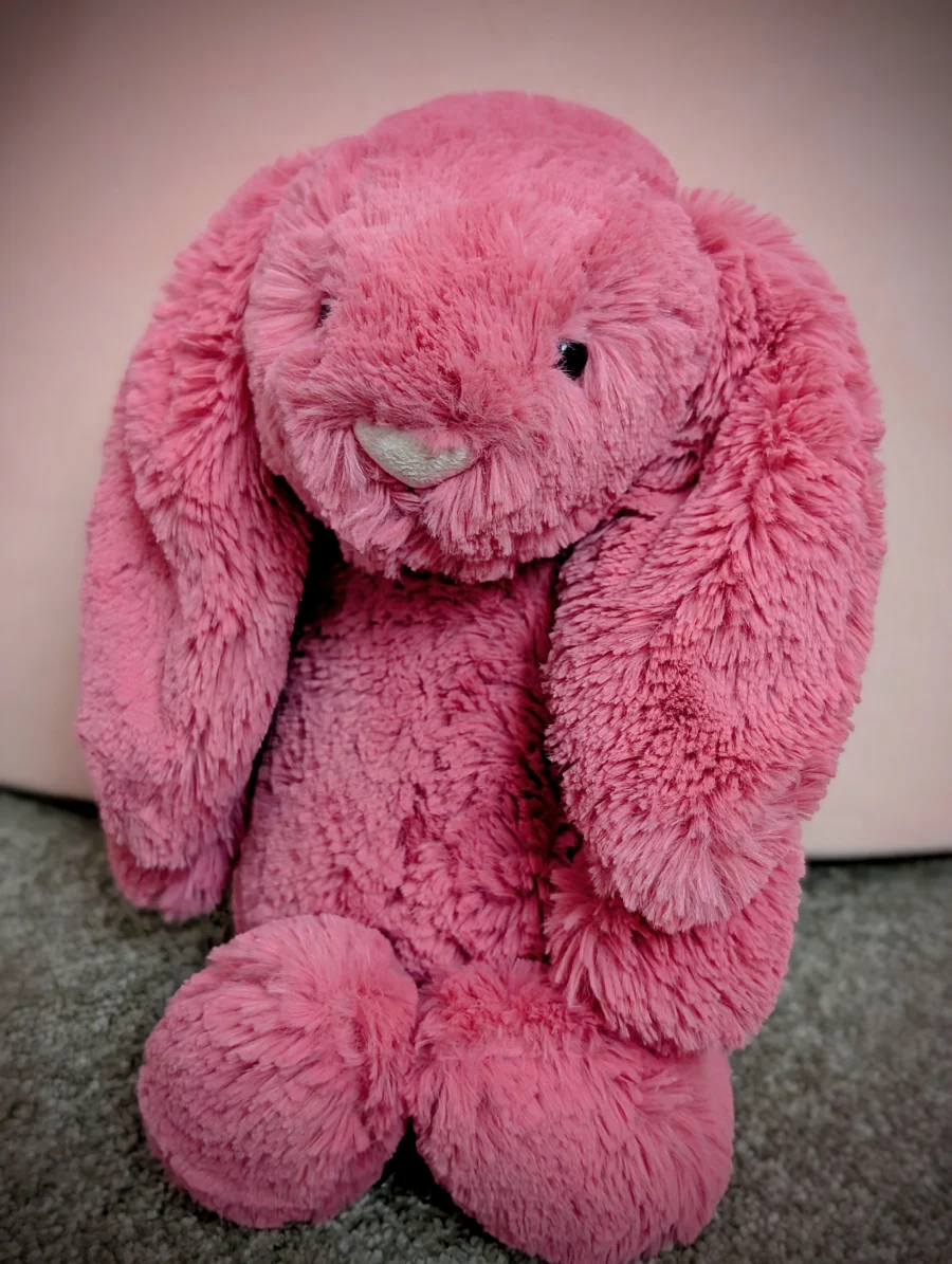 Front - Bashful Cerise Bunny - Medium photo by Jelly_shebear