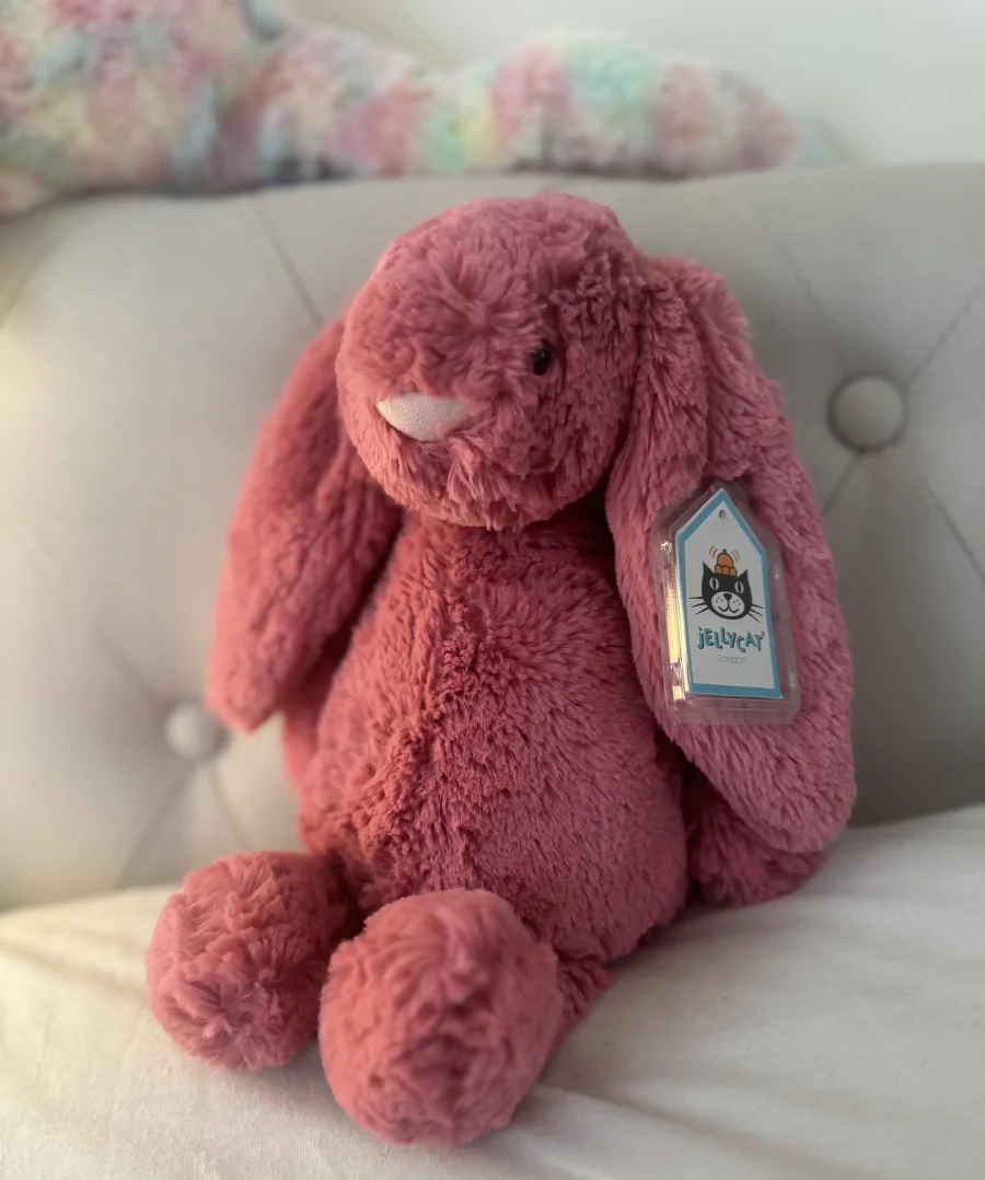 Front - Bashful Cerise Bunny - Medium photo by Stephanie93