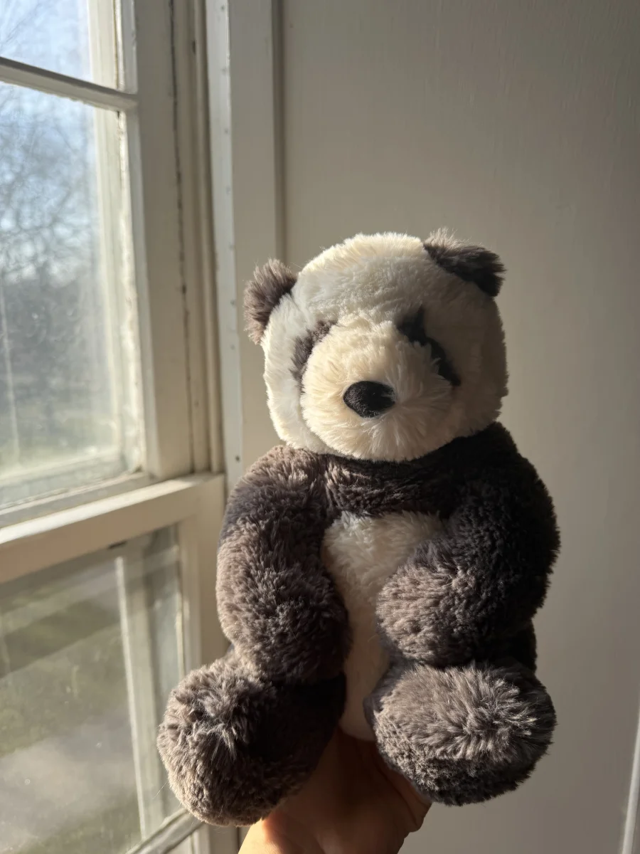Front - Harry Panda Cub - Medium photo by katsjellies