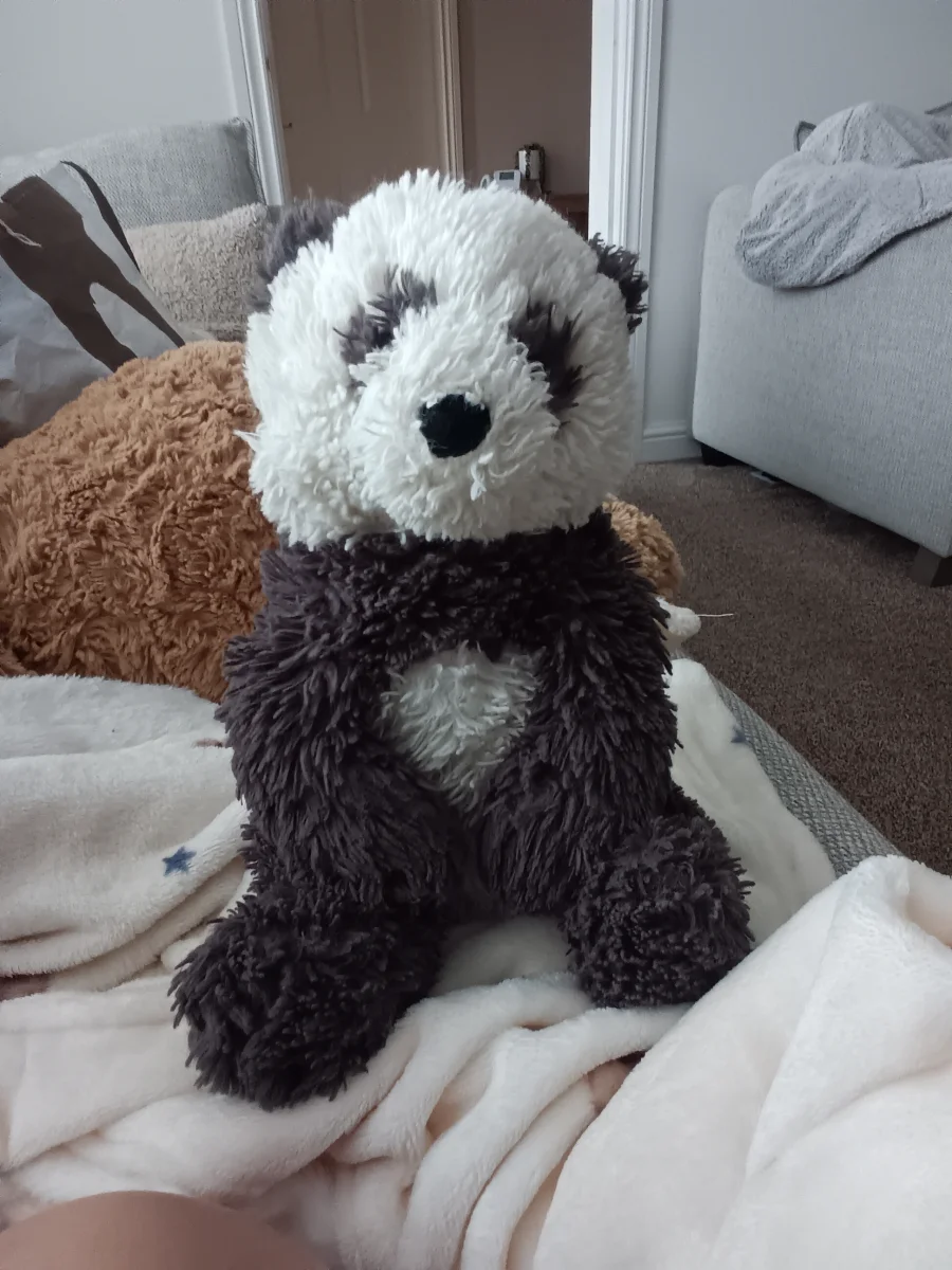Front - Harry Panda Cub - Medium photo by Eripow_54
