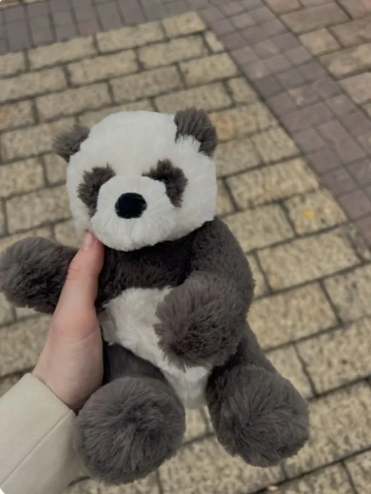 Lifestyle - Harry Panda Cub - Small photo by Isabellexcoffee