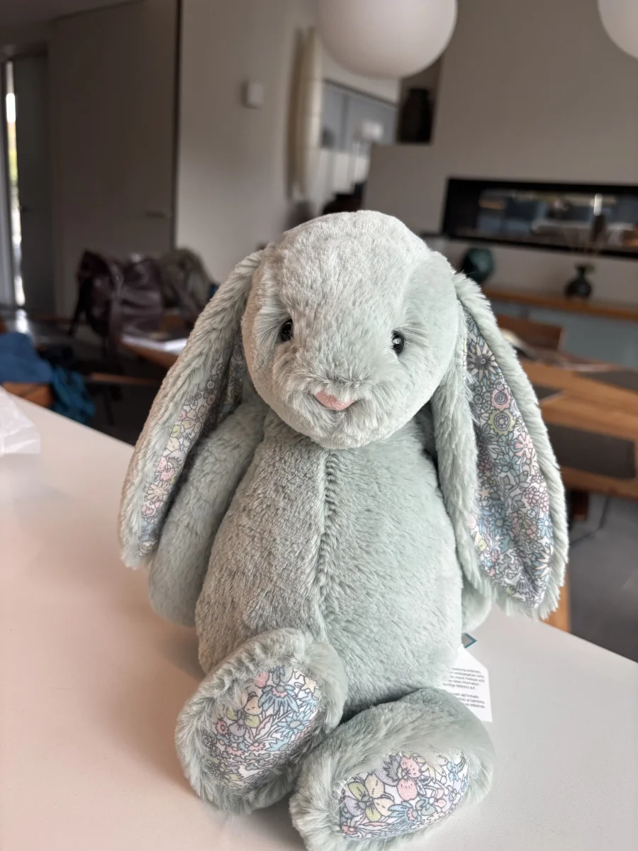 Front - Blossom Sage Bunny - Medium photo by monki123