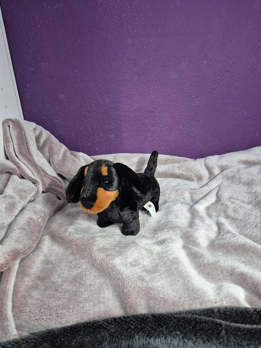 Side - Freddie Sausage Dog - Small photo by ctrlvmoon