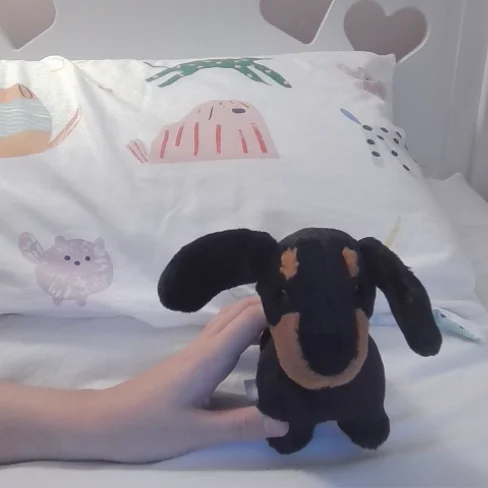 Front - Freddie Sausage Dog - Small photo by Jelly_Moo