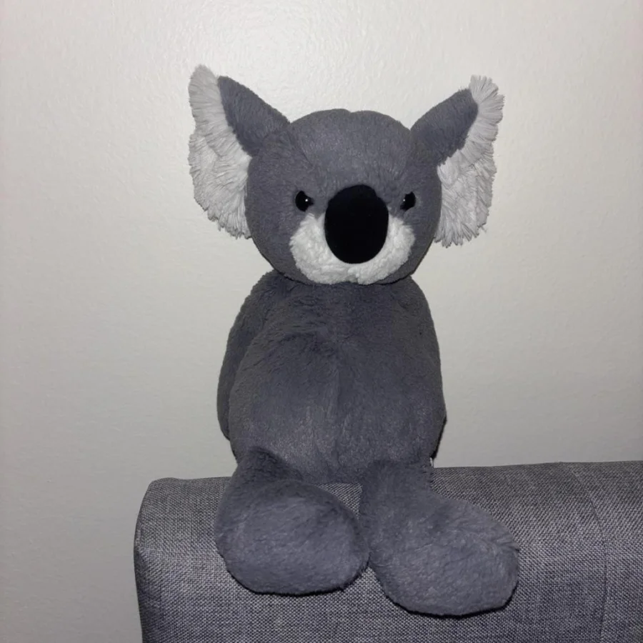 Front - Bashful Koala photo by alinsey