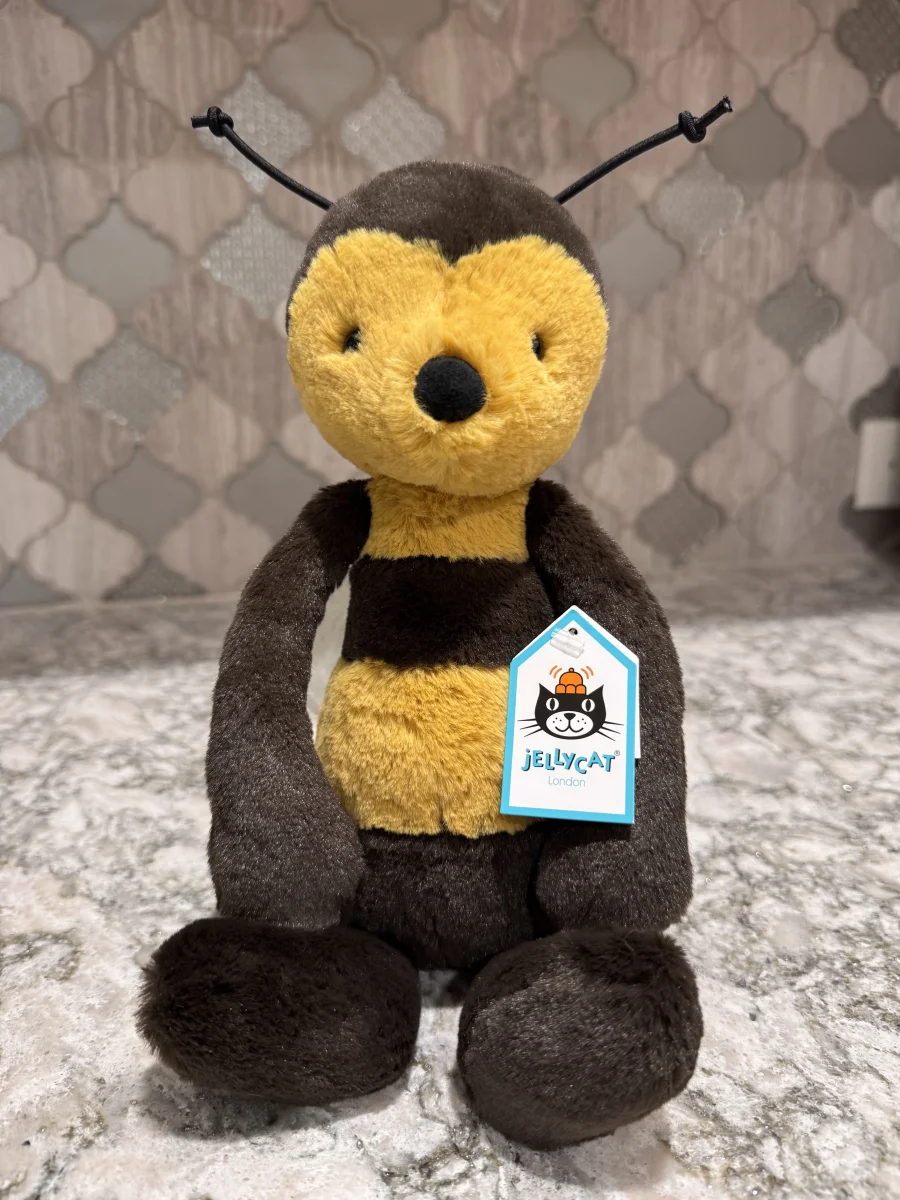 Front - Bashful Bee photo by SnowLeopard821
