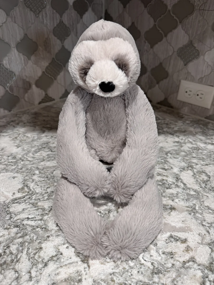 Front - Bailey Sloth - Medium photo by SnowLeopard821