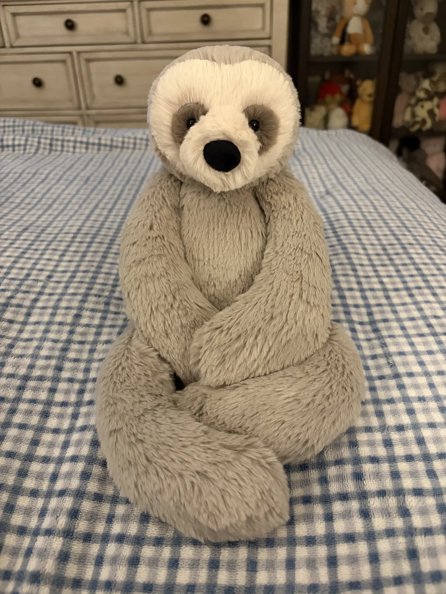 Front - Bailey Sloth - Medium photo by Stephmarie207