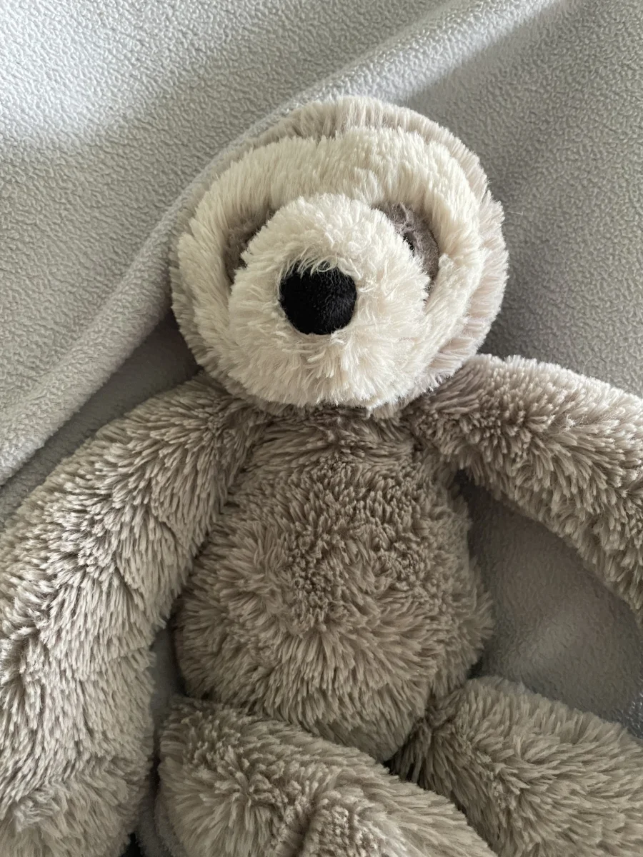 Front - Bailey Sloth - Medium photo by rosieposie0223