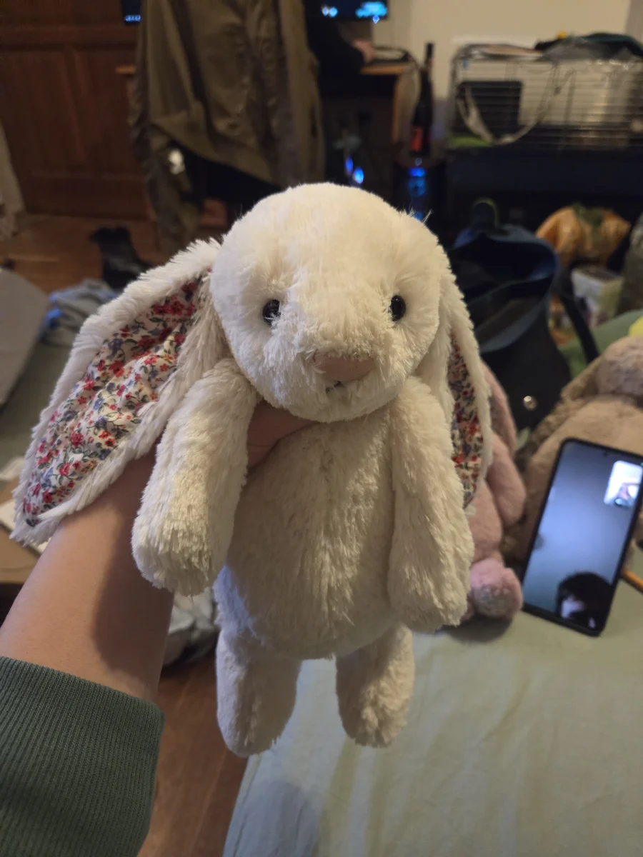 Blossom Bashful Cream Bunny - Medium Jellycat Photo by Eliza23