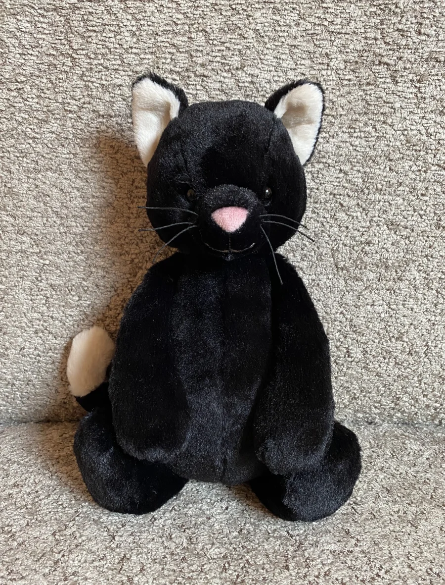 Front - Bashful Black Kitten photo by Abyss'Dragons