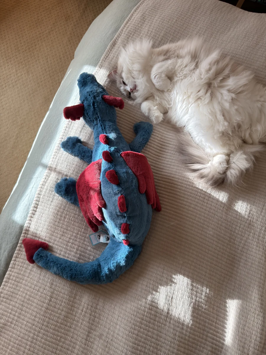 Lifestyle - Dexter Dragon - Huge photo by Saltedcoffee