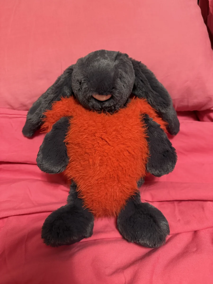 Lifestyle - Bashful Inky Bunny - Medium photo by Gizmo14